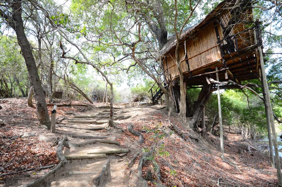 Kruger National Park: 3-Day Safari Tour and Treehouse Stay - What the treehouse stay really means