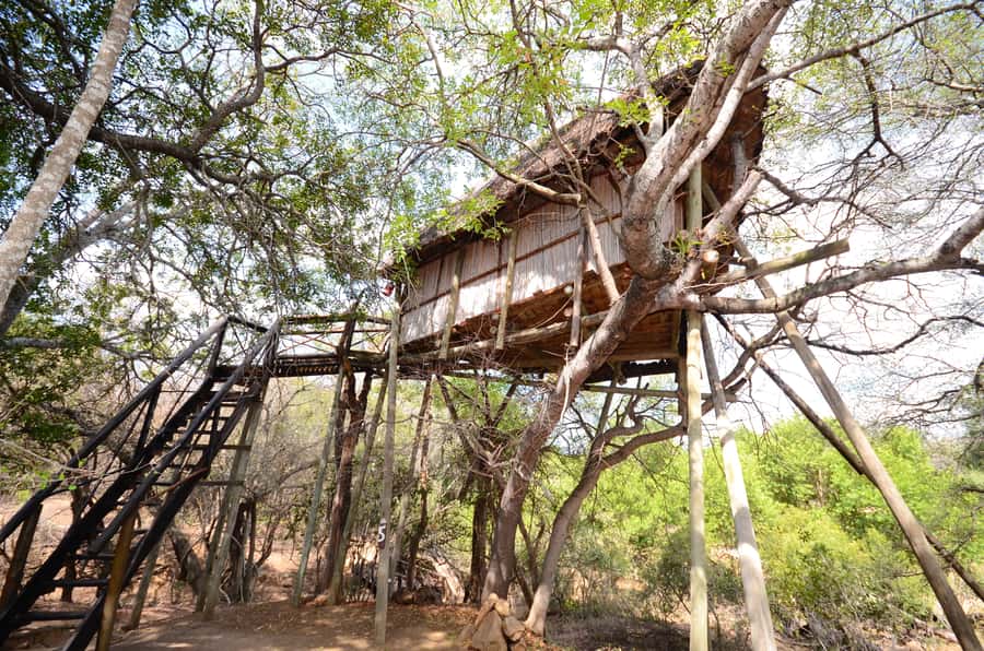Kruger National Park: 3-Day Safari Tour and Treehouse Stay - Blyde River Canyon and the Three Rondawels