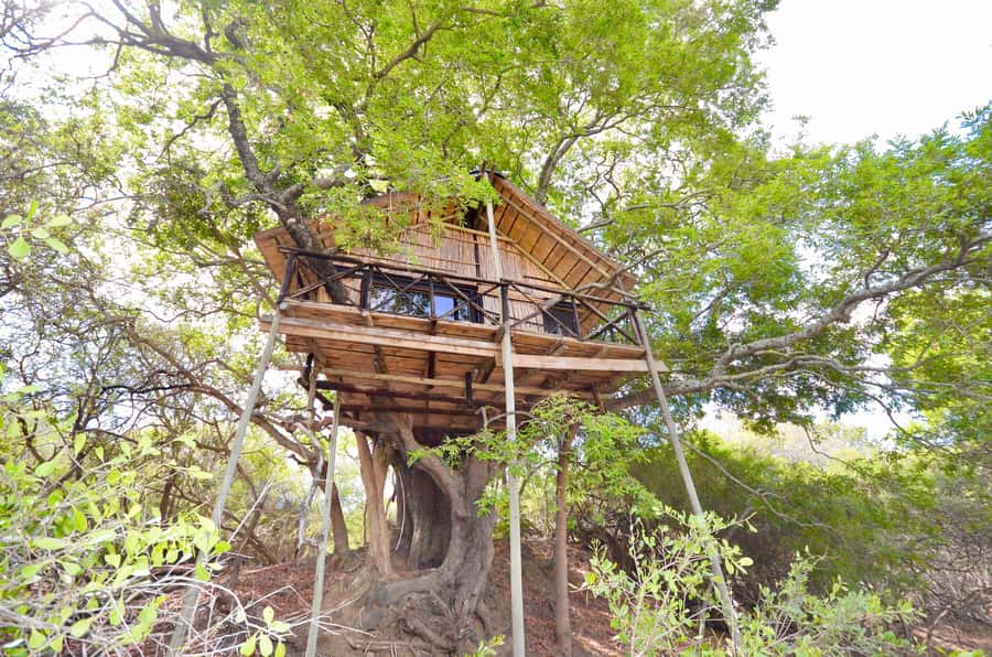 Kruger National Park: 3-Day Safari Tour and Treehouse Stay - Kruger’s Orpen area from an open Gameviewer