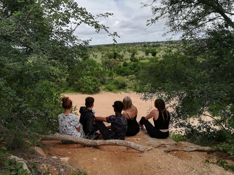 Kruger National Park - 4 Day Safari Tour - Day 2: Moholoholo and the Blyde River Canyon
