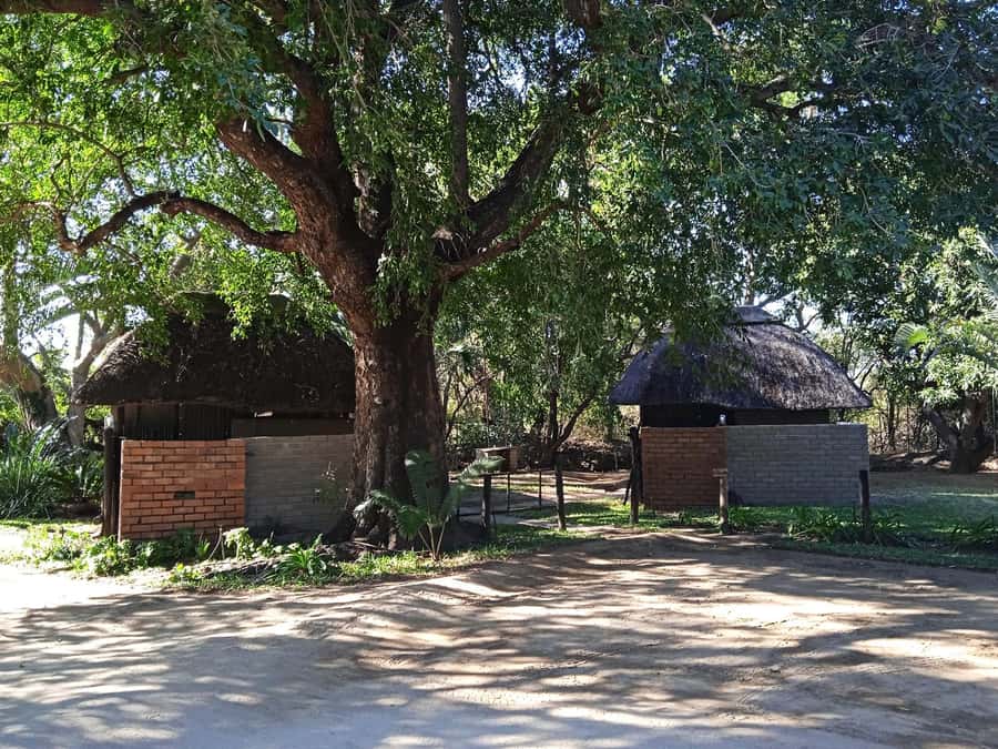 Kruger National Park - 4 Day Safari Tour - Day 3: The main Kruger safari