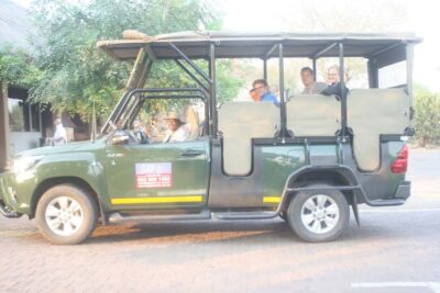Kruger National Park Afternoon Safari
