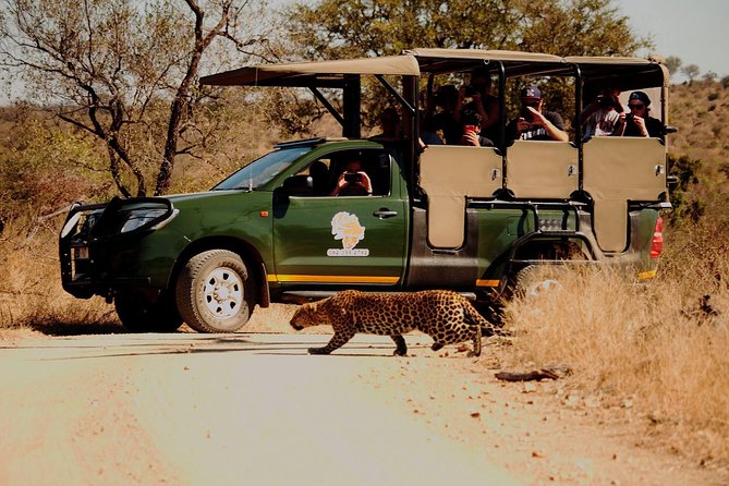 Kruger National Park Full Day Private safari - A 5:30 am start from Hazyview