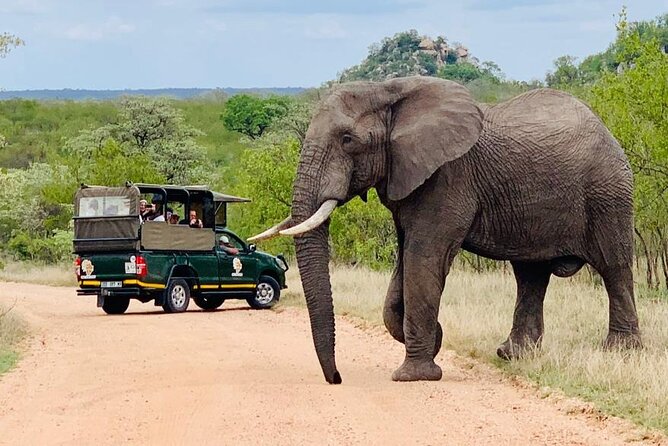 Kruger National Park Full Day Private safari - Is $158.16 per person good value?