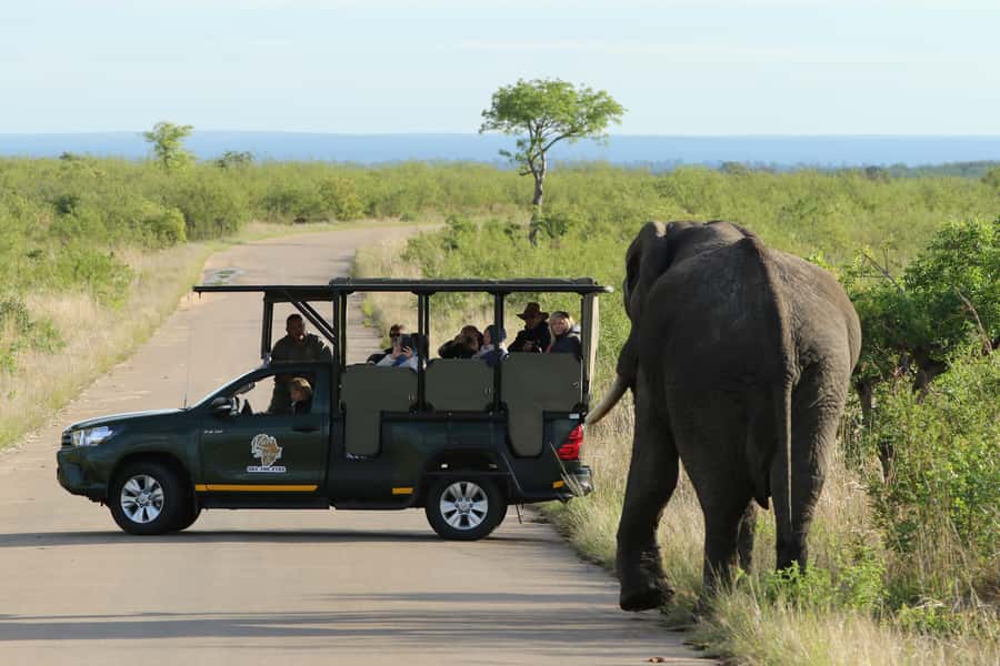 Kruger National Park: Full-Day Private Safari With Pickup - Key points to know before you book