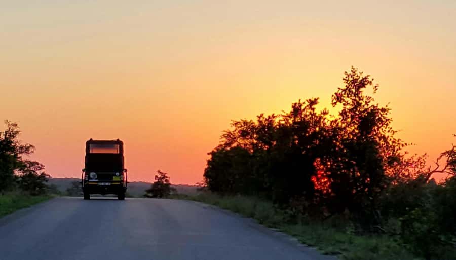 Kruger National Park: Full-Day Private Safari With Pickup - A private open vehicle changes the day