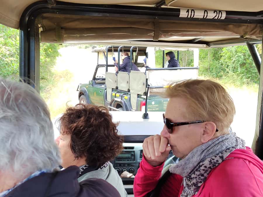 Kruger National Park half day - Five and a half hours of wildlife searching