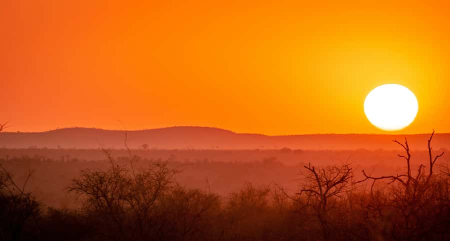 Kruger National Park half day - What the guides add to the drive