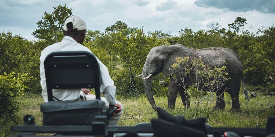 Kruger National Park half day - Is $44 a good value?