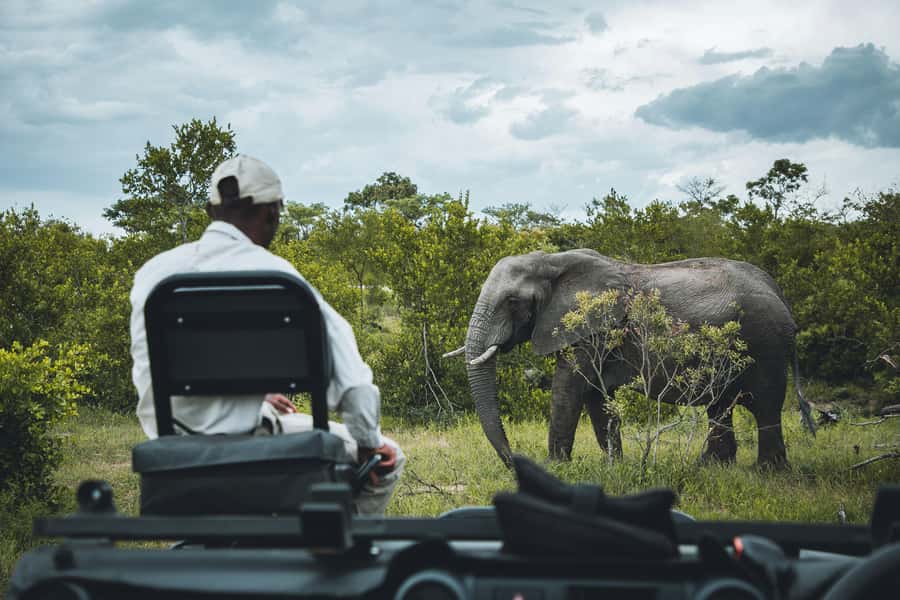 Kruger National Park half day - Who will enjoy this Kruger half-day safari