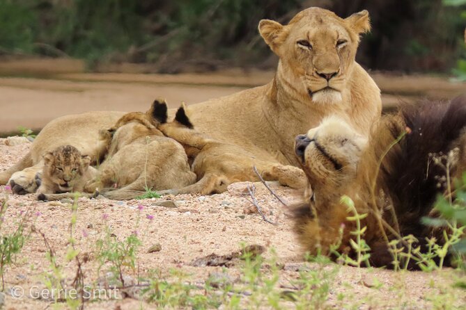 Kruger National Park - Private full day Safari trip. - What to bring for the early start