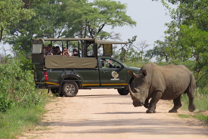Kruger National Park sunrise Morning Private safari - Key points to know before you book