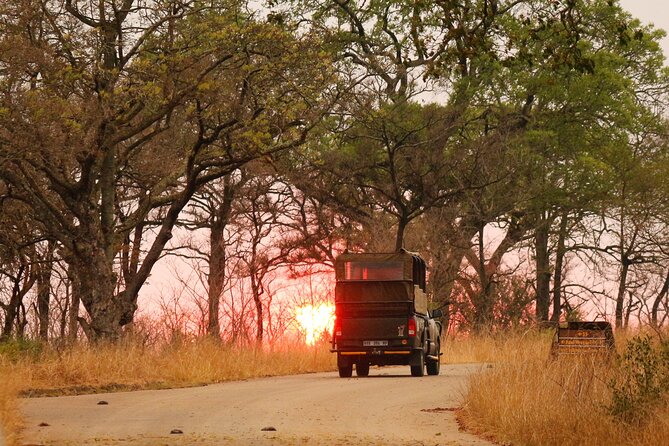Kruger National Park sunrise Morning Private safari - What the open safari vehicle changes
