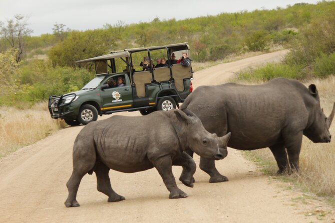 Kruger National Park sunrise Morning Private safari - Private touring and the group discount question