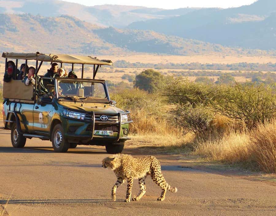 Kruger Park Scheduled Full day Safari Drive from Hoedspruit - The rest-camp lunch break around 13:00