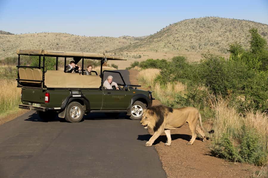 Kruger Park Scheduled Full day Safari Drive from Hoedspruit - The open vehicle makes a real difference