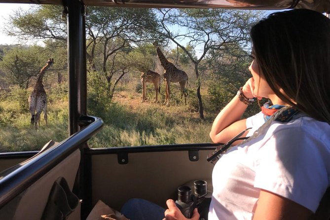Kruger Safari Tour - Full Day - Who should book this safari