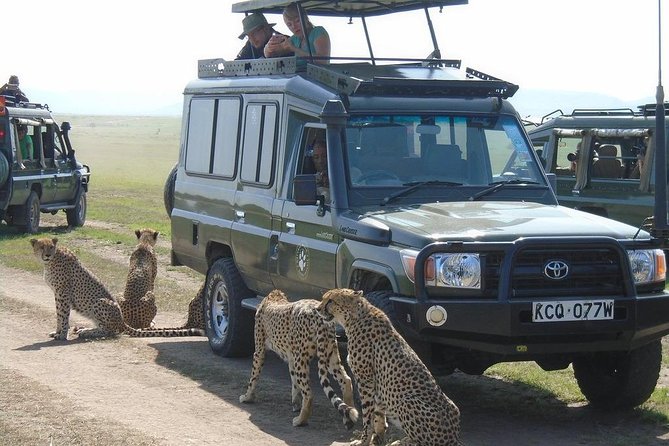 Lake Nakuru, Naivasha & Masai Mara 4 Days Private Jeep Safari - Key points at a glance