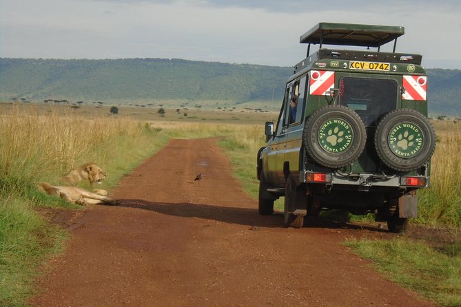 Lake Nakuru, Naivasha & Masai Mara 4 Days Private Jeep Safari - The road to the Masai Mara and the first afternoon drive