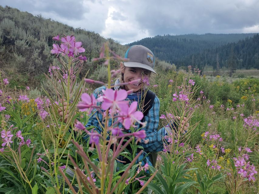 Lamar Valley: Safari Hiking Tour with Lunch - Who should choose this hike?
