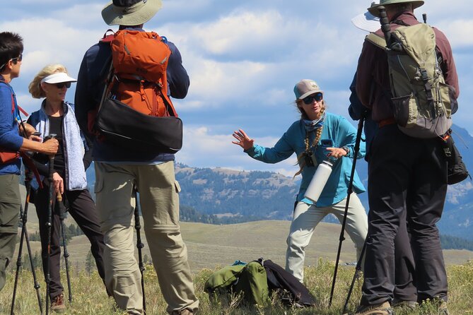 Lamar Valley: Safari Hiking Tour with Lunch - Why Lamar Valley works so well on foot