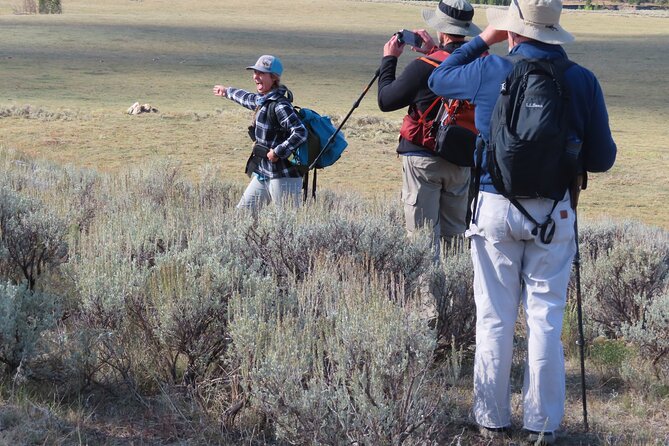 Lamar Valley: Safari Hiking Tour with Lunch - Six miles through sage and bison country