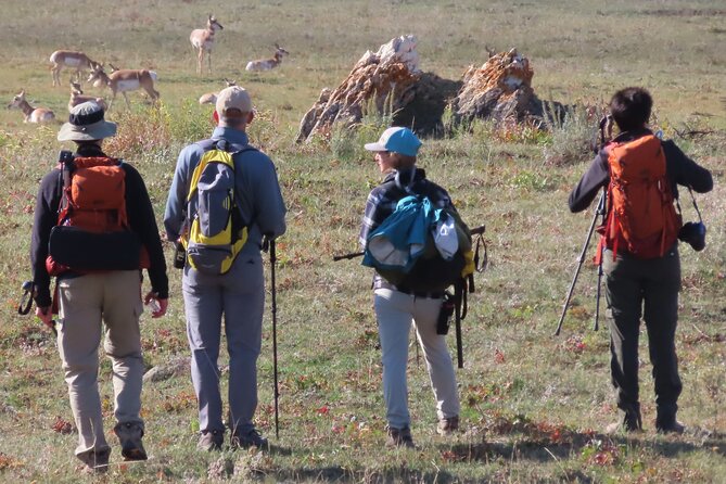 Lamar Valley: Safari Hiking Tour with Lunch - What you might see, and how to think about wildlife
