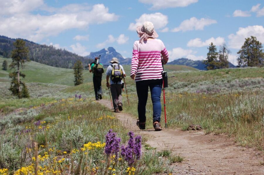 Lamar Valley: Safari Hiking Tour with Lunch - Is $192 a fair price?