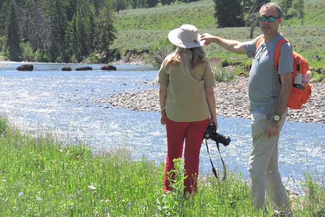 Lamar Valley: Safari Hiking Tour with Lunch - Meeting at the Lamar River Trailhead