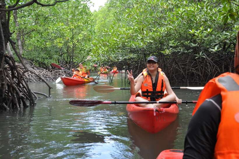 Langkawi: Kilim River Mangrove Safari Kayaking Tour - Wildlife without a staged show