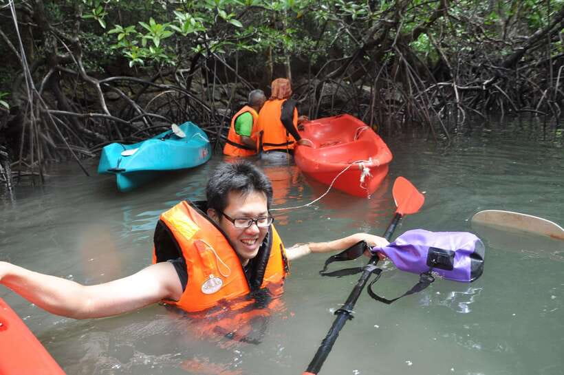 Langkawi: Kilim River Mangrove Safari Kayaking Tour - Bat Cave adds a welcome change of pace