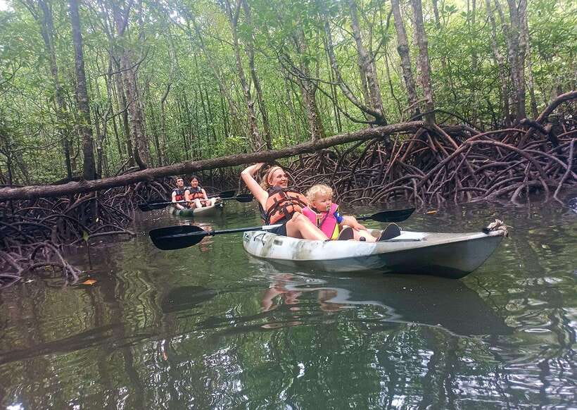 Langkawi: Kilim River Mangrove Safari Kayaking Tour - How much effort is involved?