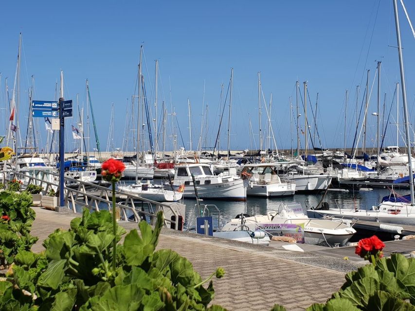Lanzarote: Sea Safari Experience - Should you book the Lanzarote Sea Safari?