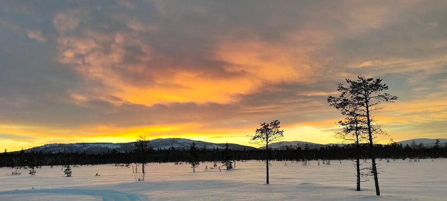 Lapland: Private Snowmobile Safari with arctic Local Guide - Key points at a glance