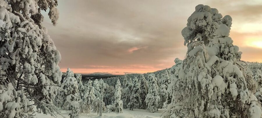 Lapland: Private Snowmobile Safari with arctic Local Guide - Riding through Luosto and Pyhä-Luosto National Park
