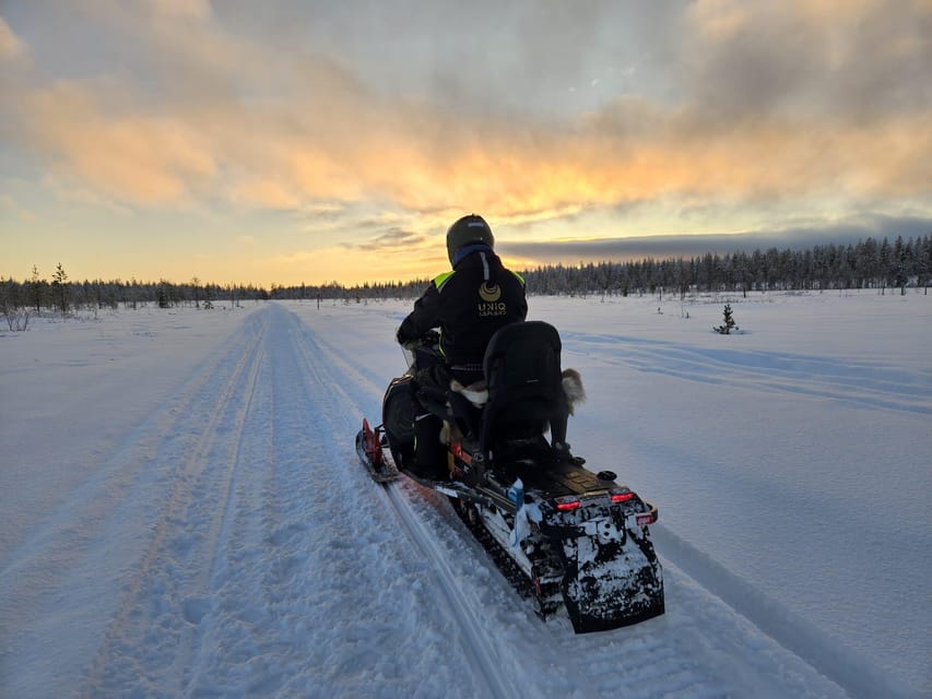 Lapland: Private Snowmobile Safari with arctic Local Guide - The fireplace break and local touches