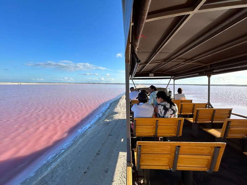 Las Coloradas: Pink Lakes Safari Tour - Why Las Coloradas Looks Pink