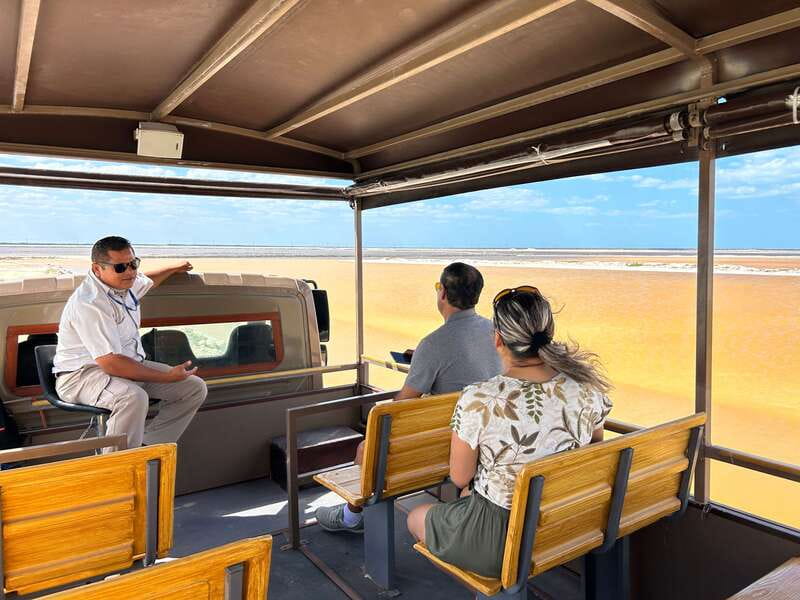 Las Coloradas: Pink Lakes Safari Tour - Practical Booking Advice for Las Coloradas