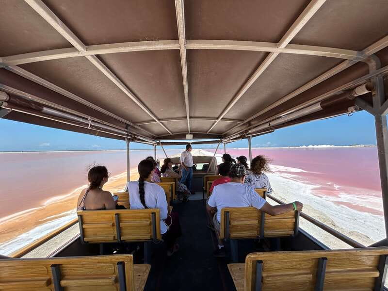 Las Coloradas: Pink Lakes Safari Tour - Seeing Salt Form in the Evaporation Ponds