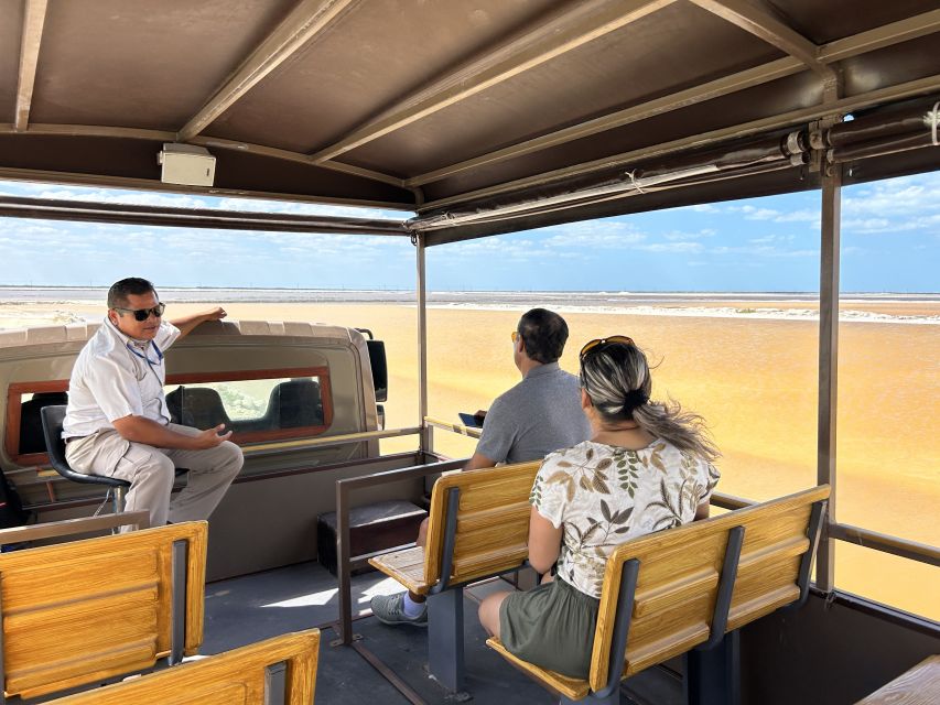 Las Coloradas: Pink Lakes Safari Tour - Flamingos, Wetlands, and the Biosphere Reserve