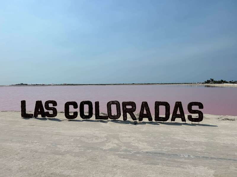 Las Coloradas: Pink Lakes Safari Tour - How Long the Tour Really Takes