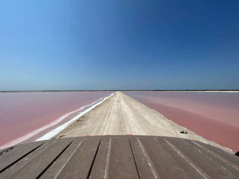 Las Coloradas: Pink Lakes Safari Tour - What the $40 Price Buys You