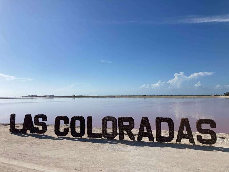 Las Coloradas: Pink Lakes Safari Tour - Who Will Enjoy This Ride Most