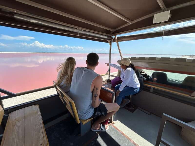 Las Coloradas: Pink Lakes Safari Tour - Riding Into the Salt Plant