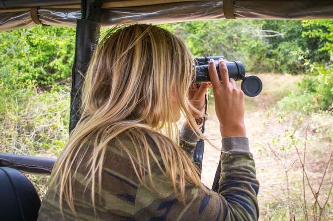 Leopard Safari Tour in Yala National Park - Yala at 6 AM: why the early start matters