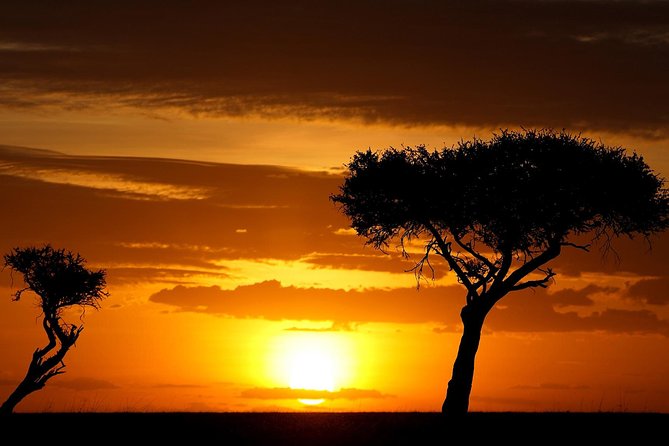 Leopard Safari Tour in Yala National Park - The guides who can make or break the day
