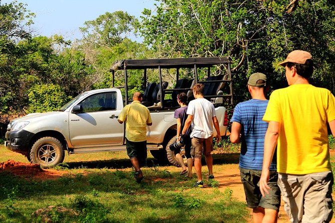 Leopard Safari Tour in Yala National Park - Is the $20 price really $20?