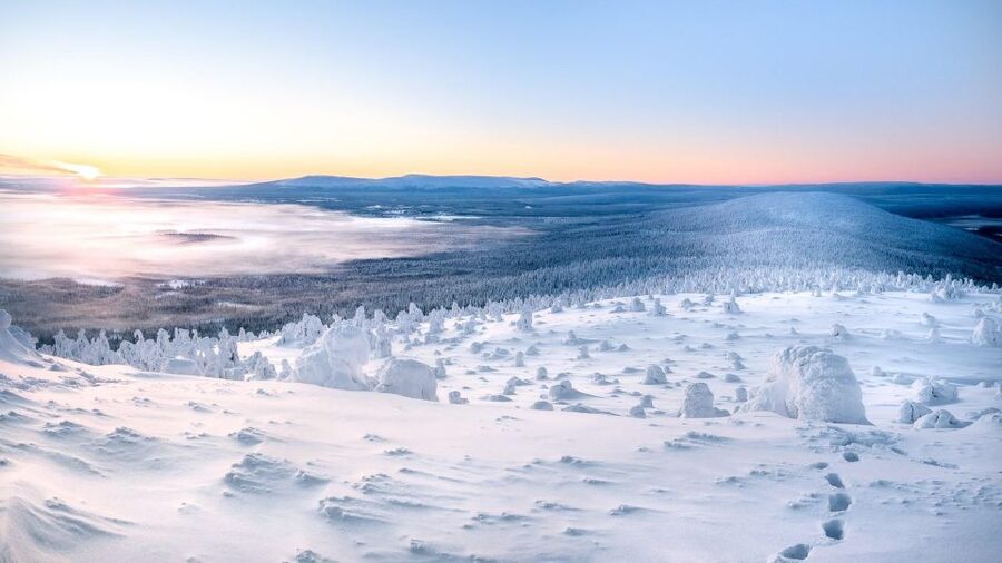 Levi: 4 Hour Snowmobile Safari to the Fells in Levi - Who will enjoy this safari most?