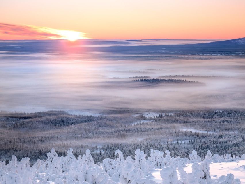 Levi: 4 Hour Snowmobile Safari to the Fells in Levi - Sharing a snowmobile or riding alone