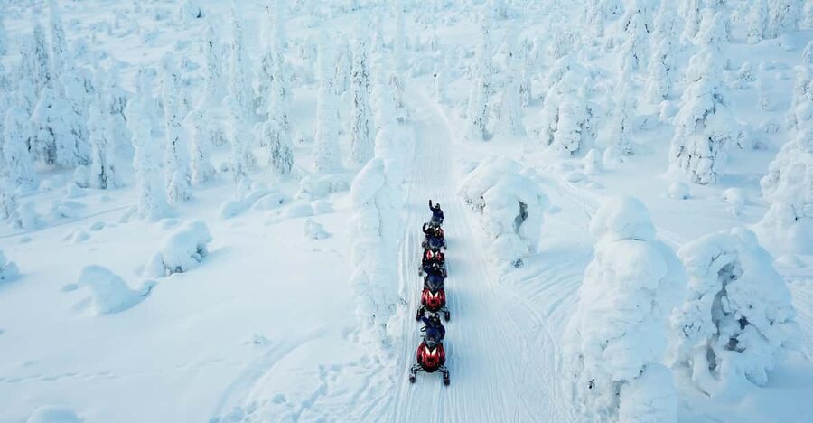 Levi: Easy Snowmobile Safari into the Nature - Frozen lakes and quiet woodland